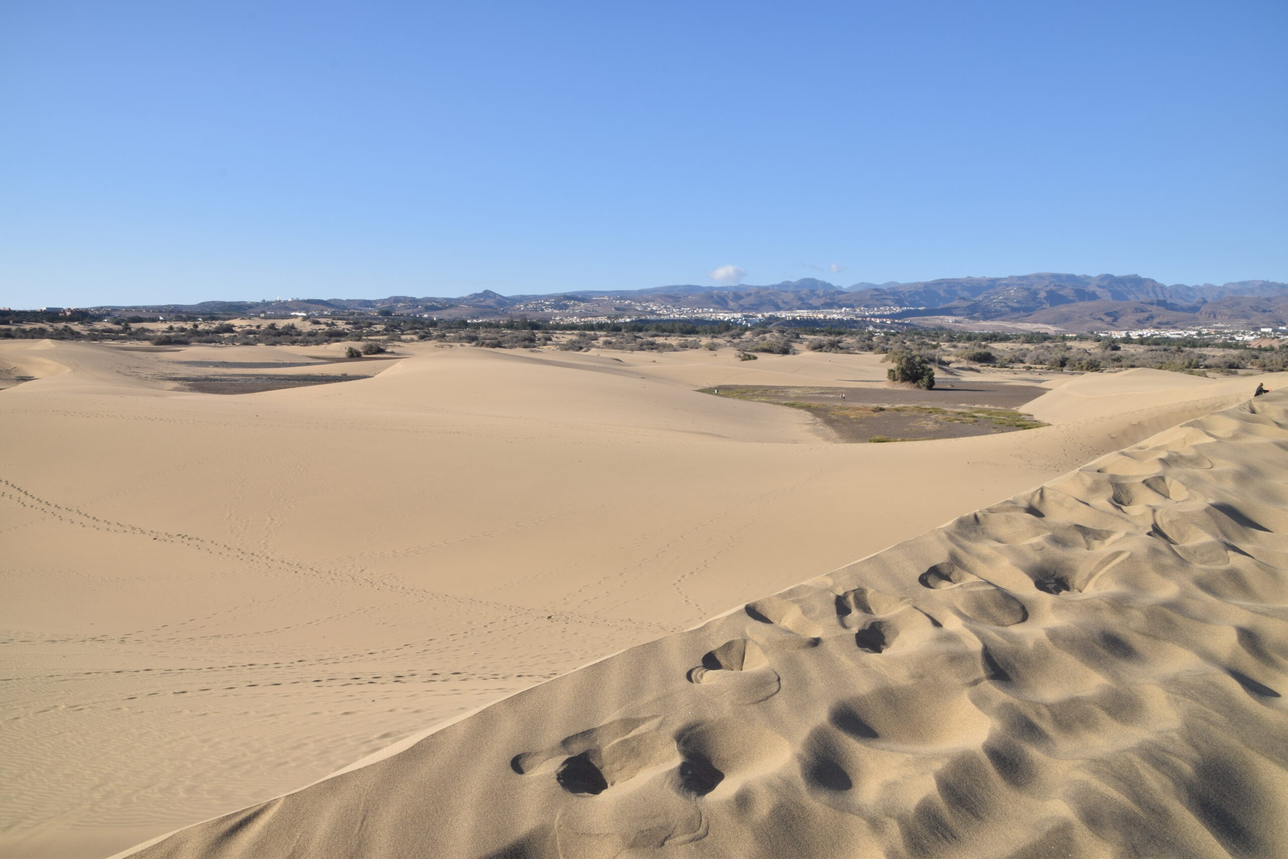 kreuzfahrt-anker.de Dünen von Maspalomas Kanaren Gran Canaria