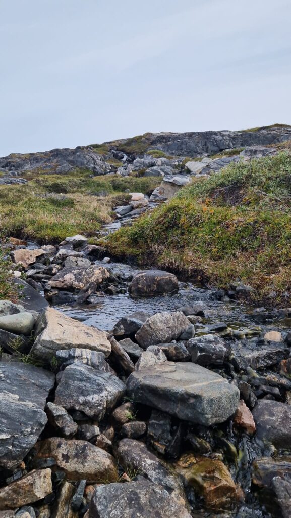 kreuzfahrt-anker_de_AIDAluna_Groenland_Ilulissat_Illimanaq_Discobucht