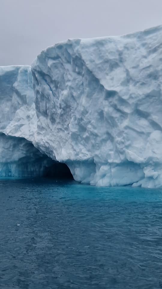 kreuzfahrt-anker_de_AIDAluna_Groenland_Ilulissat_Illimanaq_Discobucht